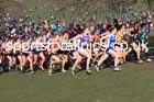 Senior womens 2025 UK CAU Inter Counties Cross Country Champs., Wollaton Park, Nottingham. Photo: David T. Hewitson/Sports for All Pics
